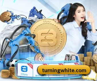 正式成立